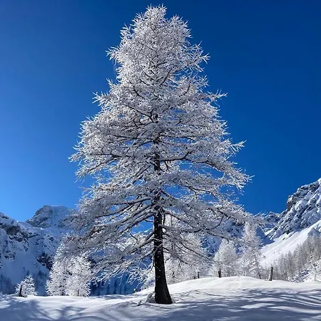 Haus Stegerhof Appartamento