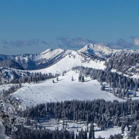 Haus Stegerhof Apartment