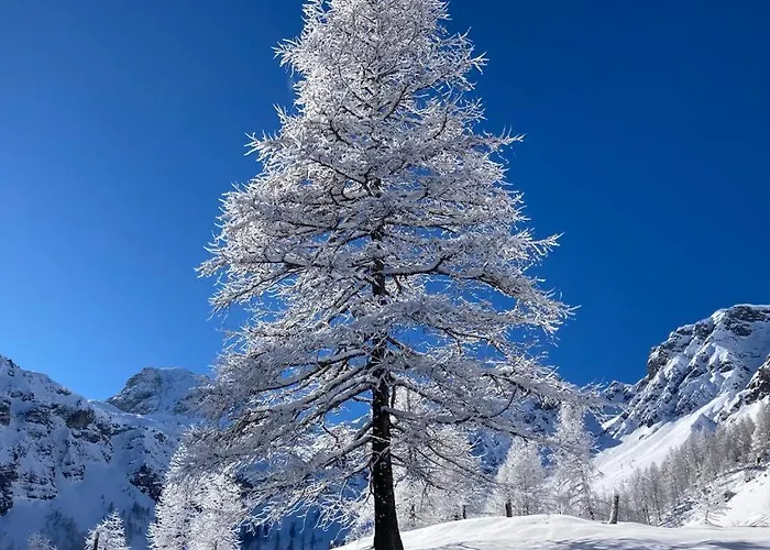 Haus Stegerhof Lägenhet