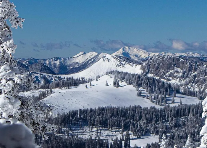 Haus Stegerhof Lägenhet